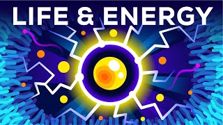 Why Are You Alive – Life Energy amp ATP [upl. by Hasseman]