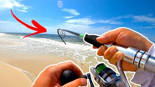 Alabama Surf Fishing  Everything You Need To Know [upl. by Galven328]