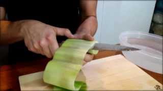 Cucumber Sushi Roll Recipe  Japanese Food Recipe [upl. by Leola]