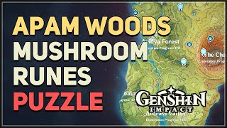 Apam Woods Mushroom Runes Puzzle Genshin Impact [upl. by Abehs18]