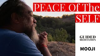 Mooji GUIDED Meditation  PEACE Of The SELF [upl. by Publea]