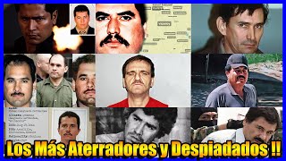 Top 10 Narcos MEXICANOS Más TEMIDOS y PODEROSOS [upl. by Yrmac]