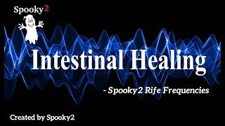 Intestinal Healing  Spooky2 Rife Frequencies [upl. by Arehsat731]