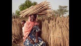 Portraits of African Women [upl. by Meridel272]