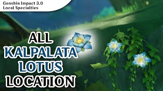 Kalpalata Lotus 71 17 Locations  Genshin Impact [upl. by Freberg]