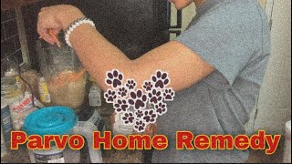 Treating Parvo in Dogs  Parvovirus All Natural Home Remedy  Lana Yazmeen [upl. by Nywrad]