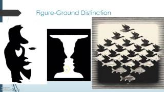 The Gestalt Principles Figure Ground [upl. by Hathaway]