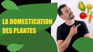 COURS DE TERMINALE SPÉCIALITÉ SVT CHAP11 LA DOMESTICATION DES PLANTES Bio Logique [upl. by Aeikan]