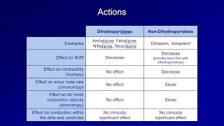 Antiarrhythmics Lesson 5  Calcium Channel Blockers [upl. by Goldarina]