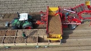 Kartoffelernte in Niedersachsen  Einblick in den Betriebsablauf Potato harvest in Germany 4K farmer [upl. by Darrell]