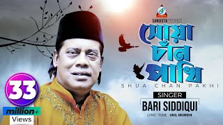 Shua Chan Pakhi  Bari Siddiqui  সোয়া চাঁন পাখি  বারী সিদ্দিকী  Music Video [upl. by Callean]