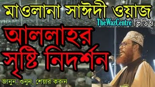 আল্লাহর সৃষ্টি নিদর্শন।  Bangla Waz by Mawlana Delwar Hossain Saidi [upl. by Ellita477]