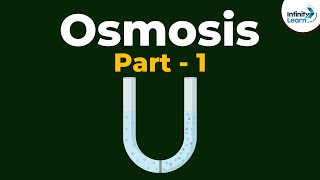 What is Osmosis  Part 1  Cell  Infinity Learn [upl. by Cartwright]