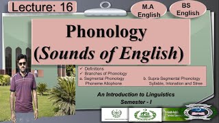 Phonology  Branches of Phonology  Lecture 16 LinguisticsI [upl. by Glori467]