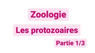 Zoologie L2  les protozoaires SNV [upl. by Cox]