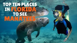 Top Ten places in Florida to see Manatees [upl. by Corinna]