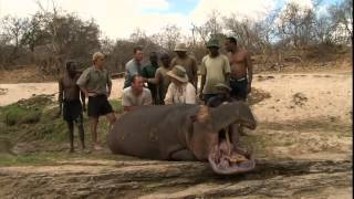 Hunting Safari in Tanzania HD video [upl. by Edan413]