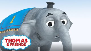 🚂 Thomas And The Elephant 🚂  Cartoon Compilation  Magical Birthday Wishes  Thomas amp Friends™ [upl. by Seleta]