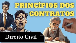 Princípios Contratuais Direito Civil  Resumo Completo [upl. by Neehcas194]