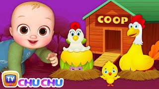 Animal Homes Song  ChuChu TV Nursery Rhymes amp Kids Songs [upl. by Nmutua953]