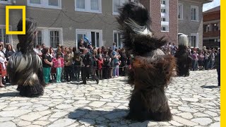 See the Intricate Costumes of Bulgaria’s Kukeri Dancers  National Geographic [upl. by Fokos]