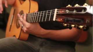 Understanding Fret Buzz on Nylon String Guitars [upl. by Iretak]