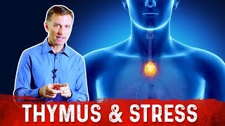 Dr Berg Talks About Thymus Gland Stress and Immune System [upl. by Airaet]