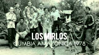 Los Mirlos  Cumbia Amazonica Vinyl 1978 [upl. by Eula]