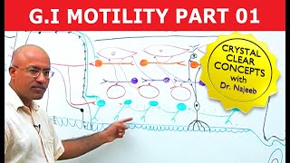 G I Motility  Gastrointestinal  Part 1 [upl. by Aldon]