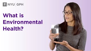 What is Environmental Health [upl. by Guido]