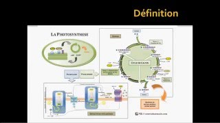 La photosynthèse part 1  généralités [upl. by Edelman89]