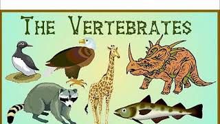 Year 3 The vertebrates song [upl. by Jolanta611]