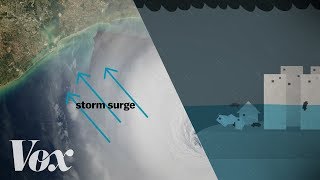 Why a storm surge can be the deadliest part of a hurricane [upl. by Attenrad]