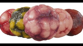 Procedural Flesh Material Blender  Demo [upl. by Reina]