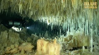 Mysterious Crystal Caves of Abaco  JONATHAN BIRDS BLUE WORLD [upl. by Lebasiram]