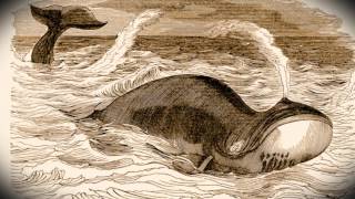 Salt Lake City History Minute  Whales of the Great Salt Lake [upl. by Aicele]