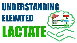 Understanding Elevated Lactate [upl. by Ynatsed]