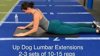 4 exercises to improve your lumbar Radiculopathy [upl. by Adnimra998]