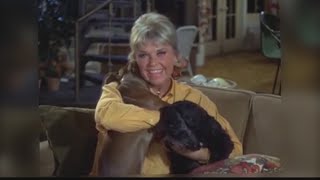 Remembering Doris Day [upl. by Marela]