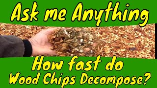 How fast do wood chips decompose [upl. by Nimoynib699]