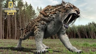 National geographic Documentary  Prehistoric predators  Wildlife Animals [upl. by Nylevol537]