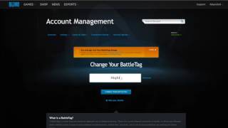 How to change your BattleTag in Battle Net for FREE Blizzard App [upl. by Mccarty324]