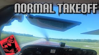 How to Perform a Normal Takeoff Private Pilot Flight Lesson [upl. by Wooster]