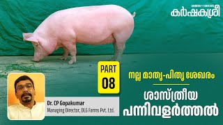 ശാസ്ത്രീയ പന്നിവളർത്തൽ  Part  8  തിരഞ്ഞെടുക്കൽ  Karshakasree  Pig Farming  Modern Farm [upl. by Abdu244]