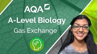 AQA A Level Biology Gas Exchange [upl. by Akiner297]