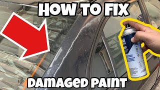 The CHEAPEST Way to Permanently Fix Peeling Paint [upl. by Walling]