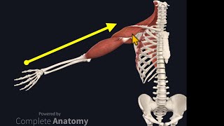 Osteopathy Treatment Techniques Treating the Shoulder [upl. by Assenat]