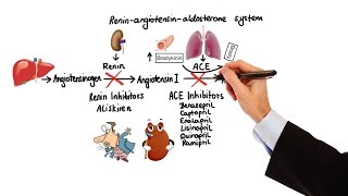 Pharmacology  HYPERTENSION amp ANTIHYPERTENSIVES MADE EASY [upl. by Caton]