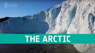 The Arctic a delicate icy ecosystem [upl. by Magnien]