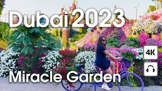 Dubai 🇦🇪 Miracle Garden  4K  Walking tour [upl. by Queen]